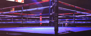 In Bologna apre una nuova palestra. Si chiama “Barca Combat Club”. Boxe e Muay Thai in primo piano