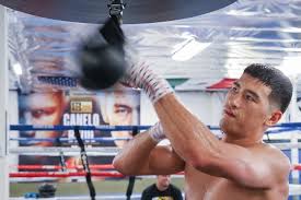 Bivol Speed bag