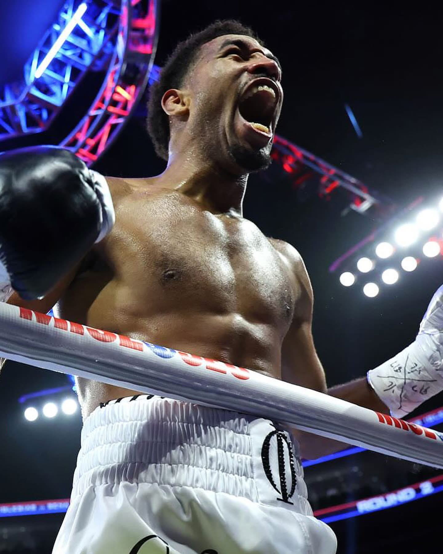 GUANTONE DA BOXE 🥊 PENDANT ORO/ARGENTO, image size:1440x1799