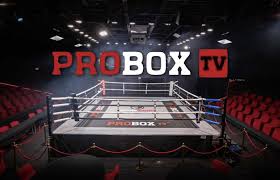 Ad Arlington in Texas il 27 febbraio per la serie  Probox Tv  Tellez Giron contro Torres 
