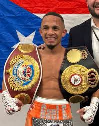 Rene Santiago difende Wba e Wbo a Tokyo venerdi' contro Taniguchi