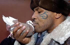 Da Mike Tyson sei vittorie d'autore .  Alcuni indimenticabili video del grande campione dei pesi massimi 