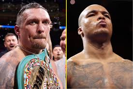   Il campione di tre sigle dei pesi massimi Usyk non esclude un match con Wardley ma non subito