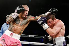 00000000000000000000COTTO vs ALVAREZ