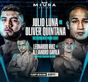 00000000000000000000WBC LUNA VS quintana