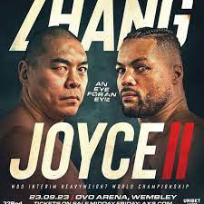 0000000023 sett Joyce Zhang