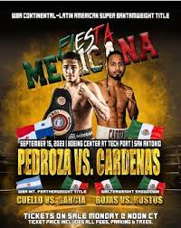 000000033333 Pedroza vs CARDENAS VEN