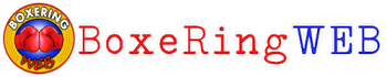 Boxeringweb2017 PICCOLA