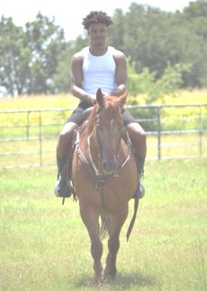 Spence a Cavallo CANCELLA