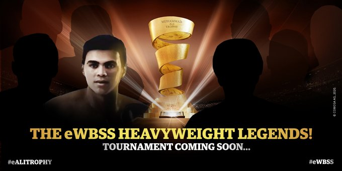 VIDEOGIOCO WBSS 