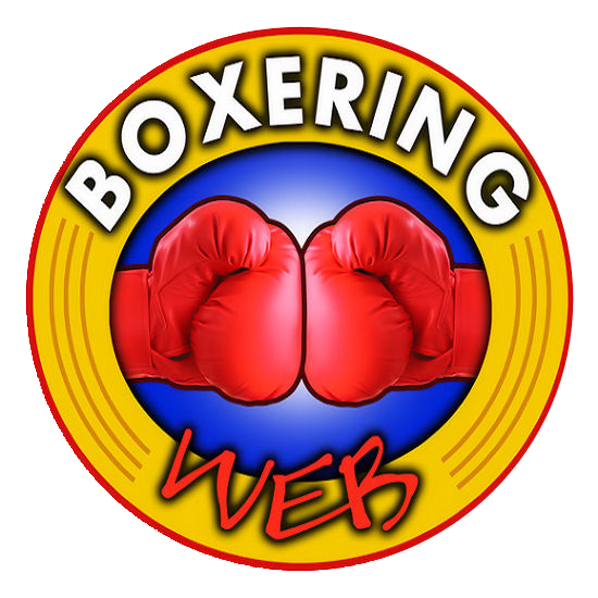 Boxeringweb LOGO