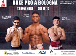 2222222222222222222bologna 13 novembre