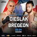 2222333222CIESLAK contro Bregeon