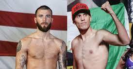 3333333333333333Plant vs benavidez
