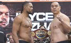 4588888Joyce vs Zhang