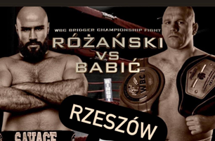 48A188 Babic vs ROZANSKI