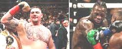 55555555555555555Ruiz vs Wilder