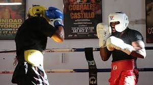 88888888888Broner vs Daviz Train