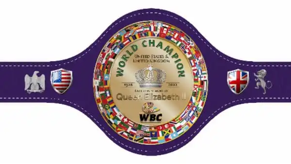 AAAAAAAAAAAelizabethbelt