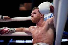 AAAAAAAAAAAlvarez 2022
