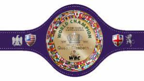 AAAAA 8888888Belt Elisabeth