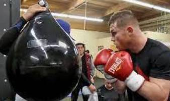 Alvarez Canelo train sacco