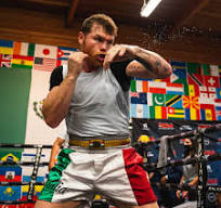 Ultimora- Trovato l'accordo tra Saul Alvarez e William Scull.- Evitata l'asta  IBF
