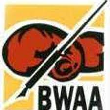 BWAA scrittori Usa