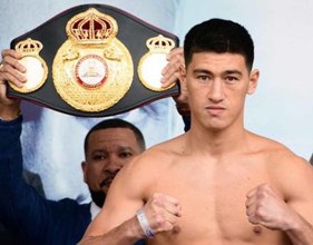 Bivol con cintura dietro