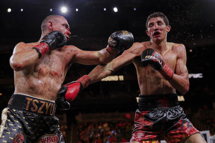 La rivincita tra Fundora e Tszyu è confermata da Lewkowicz  ma non in Australia 