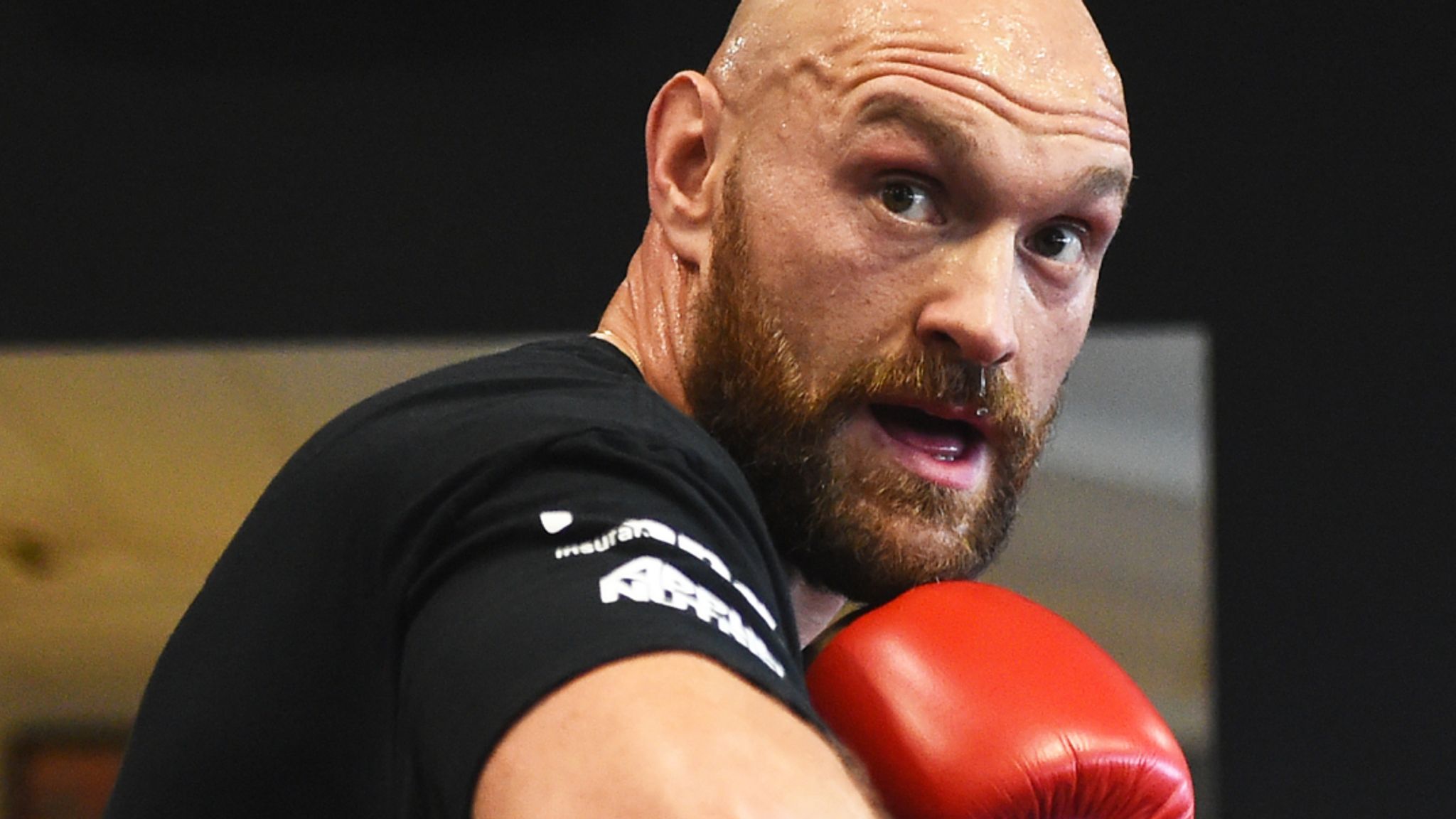 FURY TYSON PP