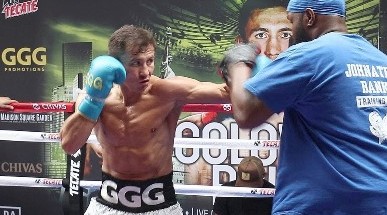 Golovkin Train Banks