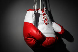 Guantoni da boxe