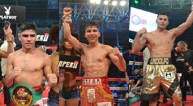 GuevaraArceDelgado