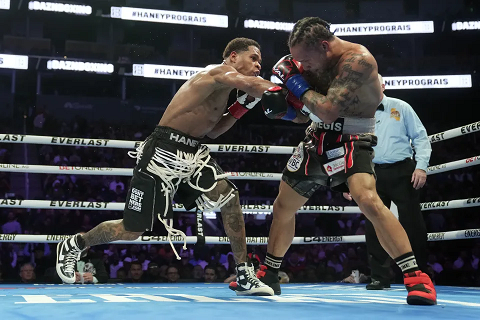 HANEY COLPISCE prograis