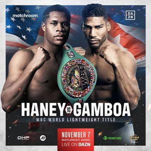 Haney Gamboa november