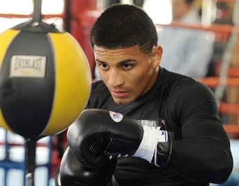Mares in allenamento