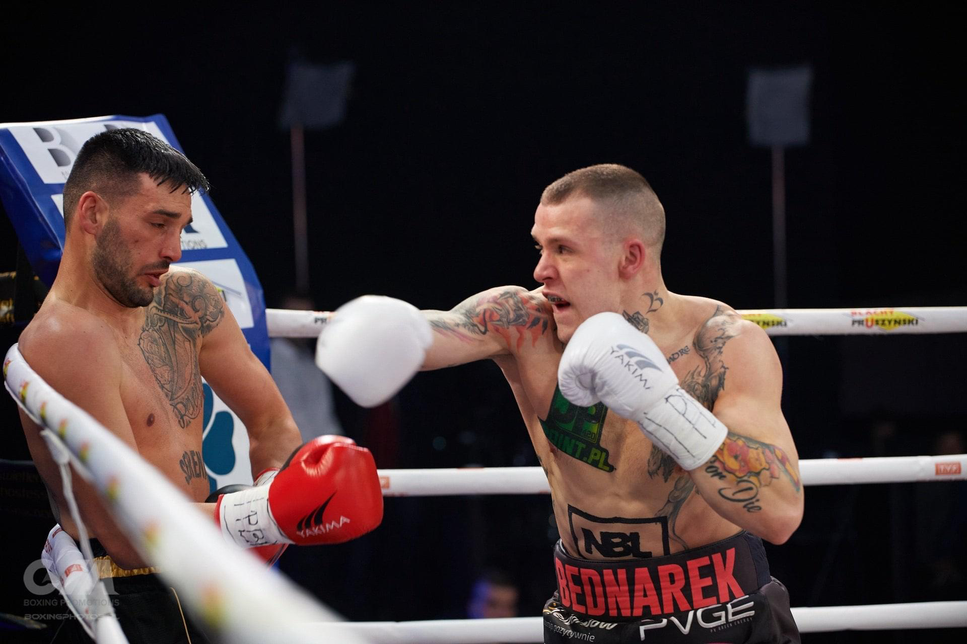 Natalizi perde da Bednarek