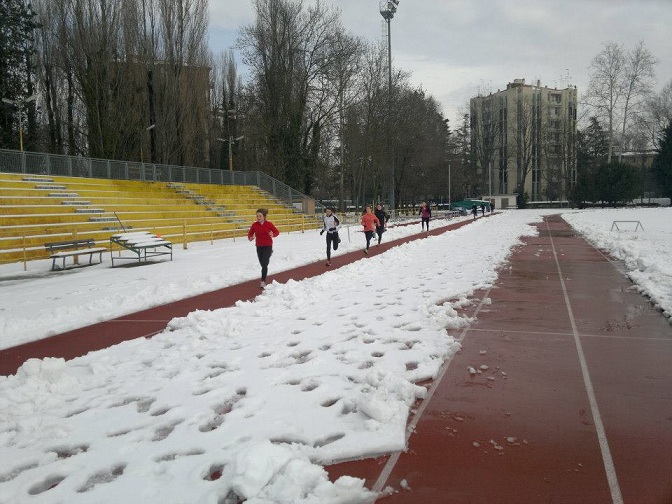 Pista