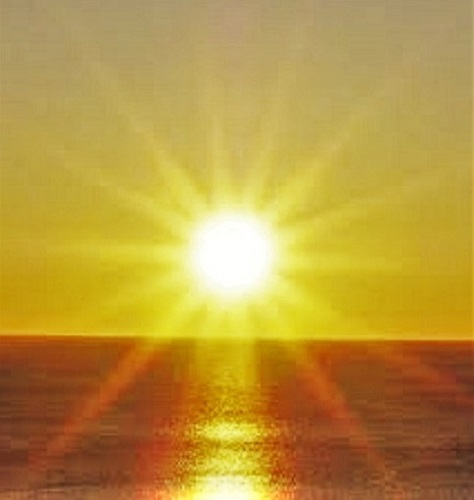 Sole