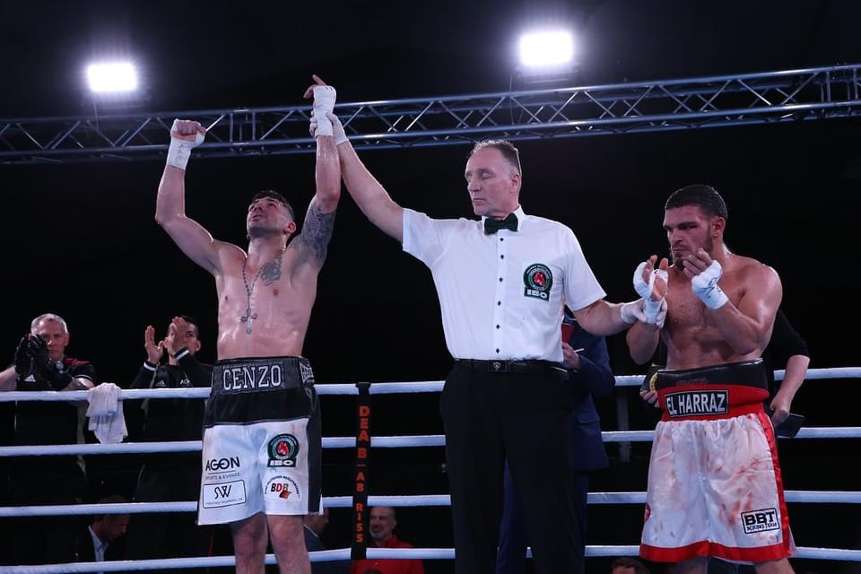 VINCENZI GERMania v Harraz