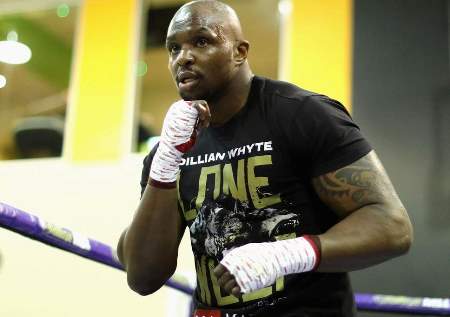 Whyte Dillian TRAIN bella