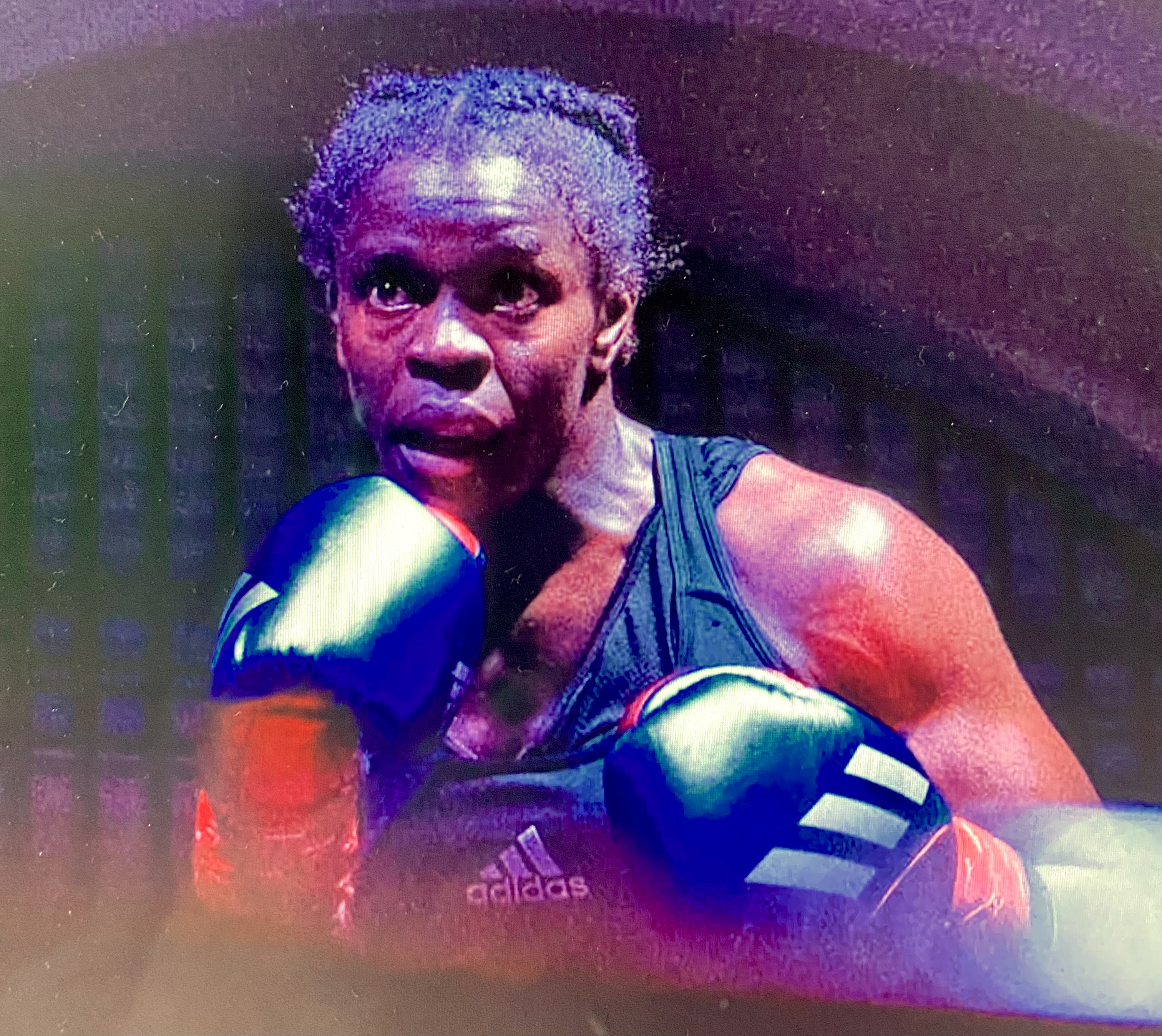 Sacco Leone King Size Rosso Bianco 60kg Leone Sport | TikTok, image size:3024x2697