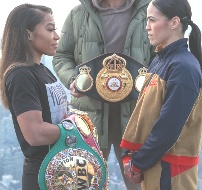 baumgardner vs mekhaled