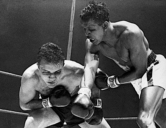 robinson lamotta be055873