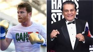 zzzzzzzzzzzzDURAN VS Canelo